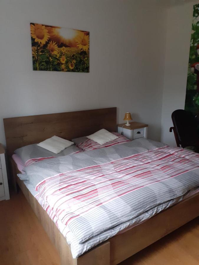 Apartman Ema Sloup  Экстерьер фото