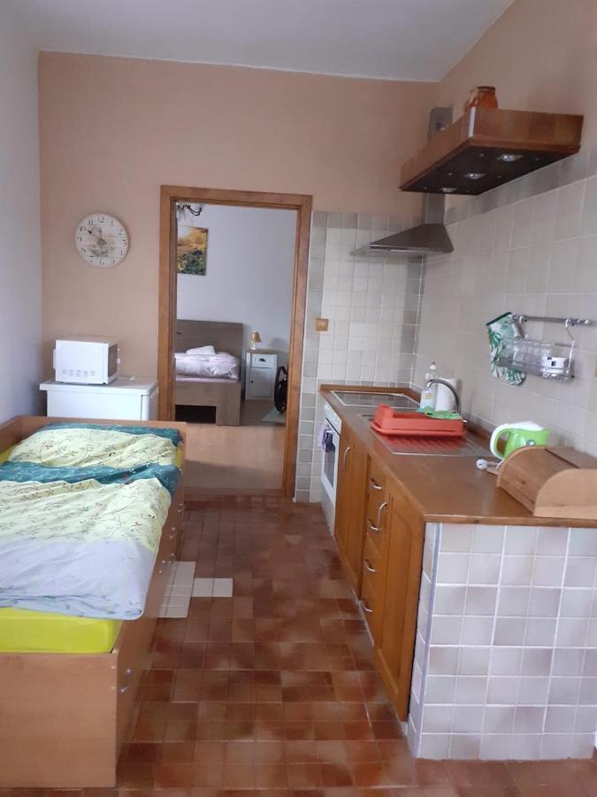 Apartman Ema Sloup  Экстерьер фото